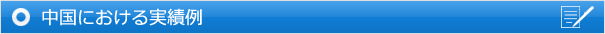 中国における実績例